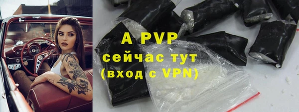 PSILOCYBIN Армянск