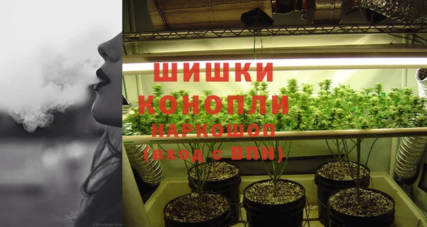 PSILOCYBIN Армянск