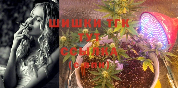PSILOCYBIN Армянск