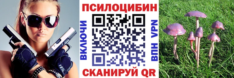 Псилоцибиновые грибы мицелий  наркота  Суровикино 