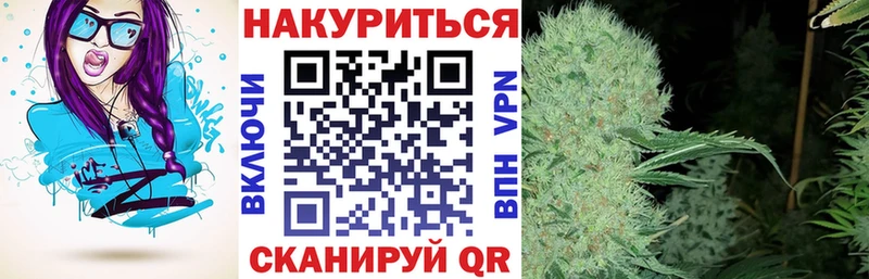 Конопля MAZAR  закладки  Суровикино 